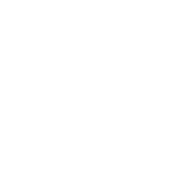 NBF Logo